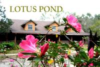 Lotus Pond Yoga Teacher Training